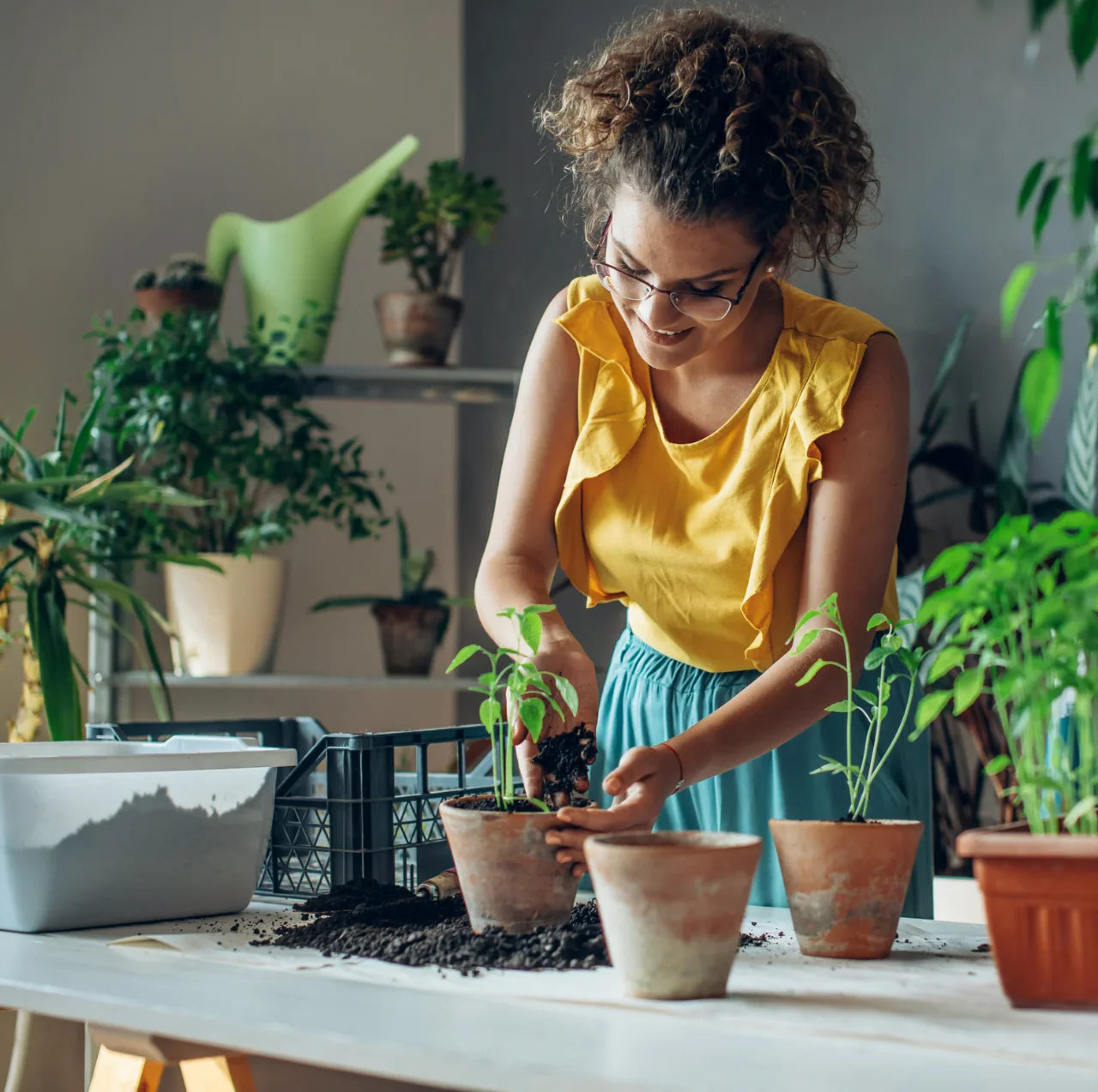Happy woman repotting seedlings surrounded by thriving houseplants maintained with PlantMate automatic watering system