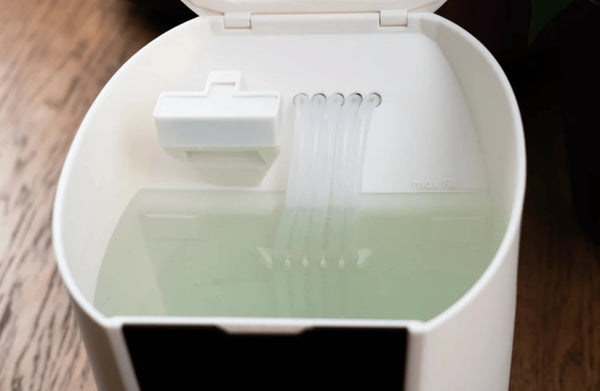 Worry-free plant care