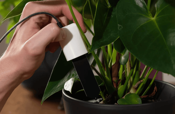 Smart soil sensing