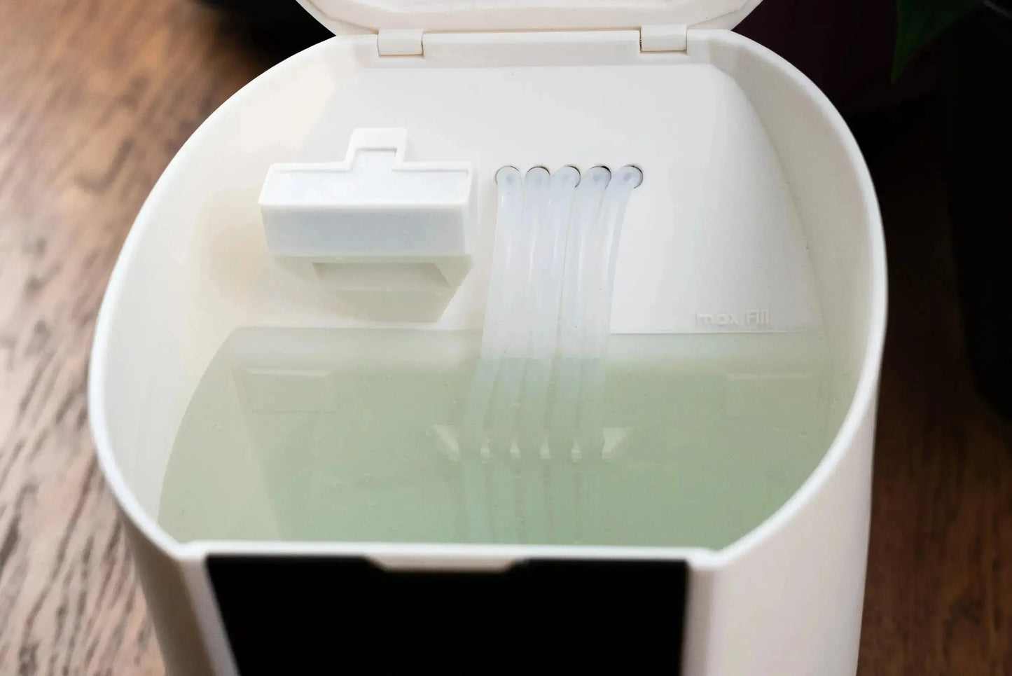 PlantMate – Super-Frühbucher