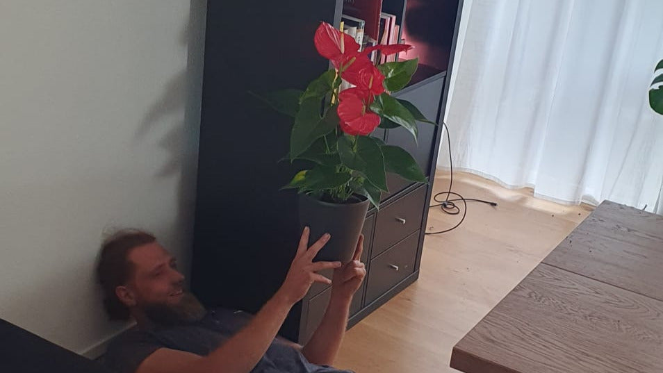 PlantMate smart planter functionality testing with live plant demonstrating product features for Plantup marketing campaign
