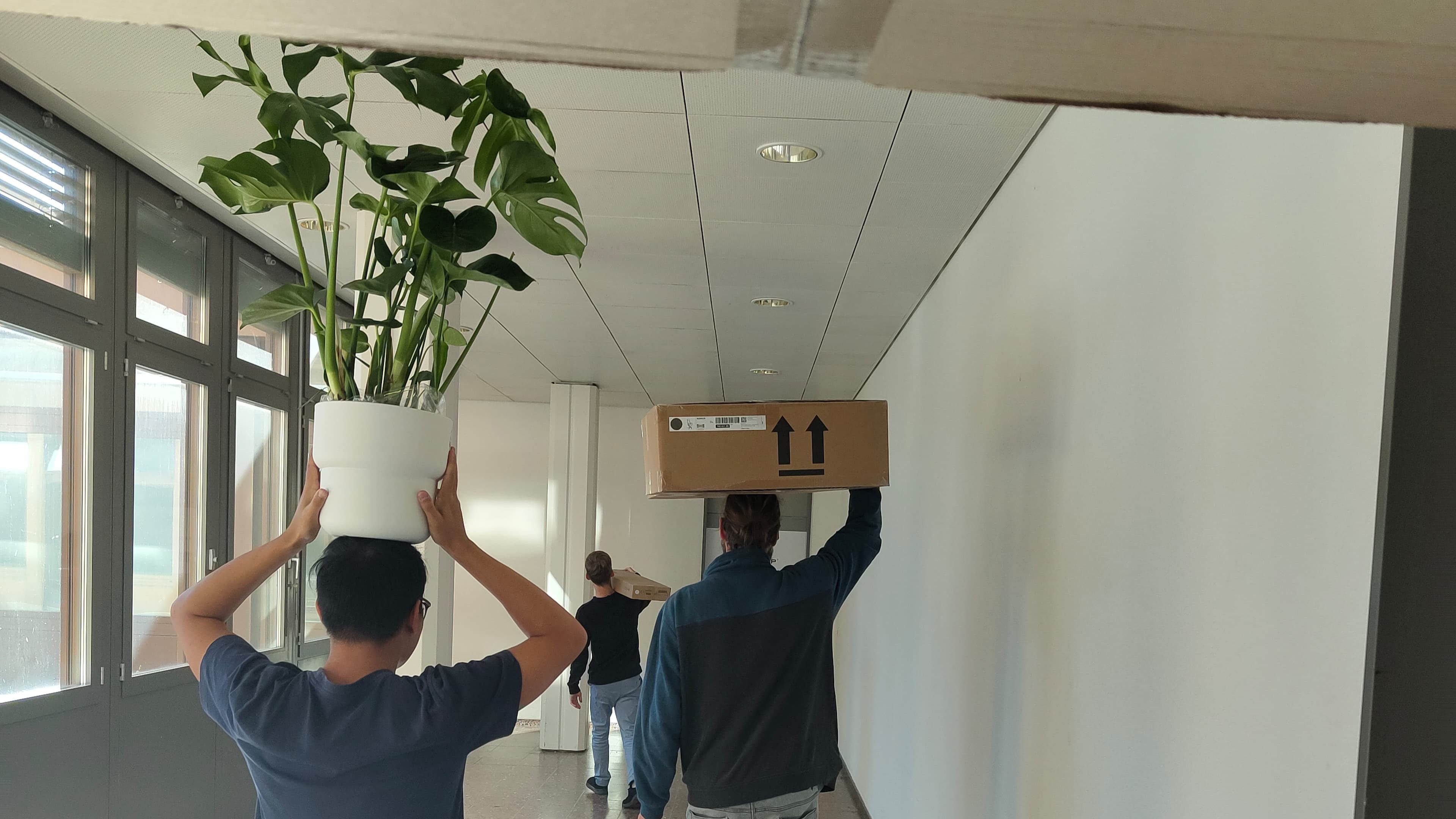 PlantMate team moving to new Swiss office headquarters where automatic plant watering systems are developed